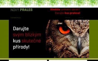www.novyprales.cz