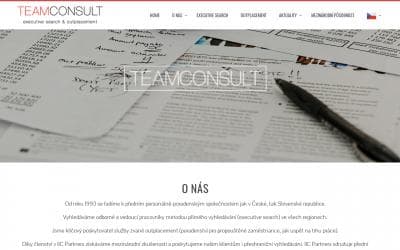 www.teamconsult.cz