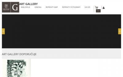 www.artgallery.rpvl.cz