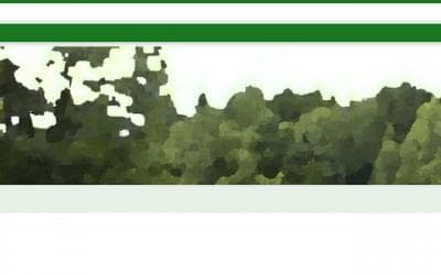 www.tisovec.cz