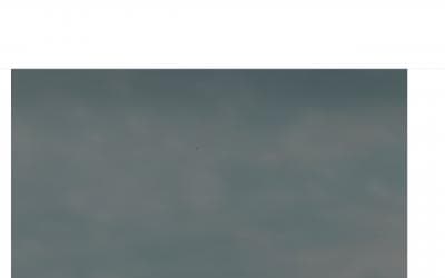 www.ridzplzen.cz