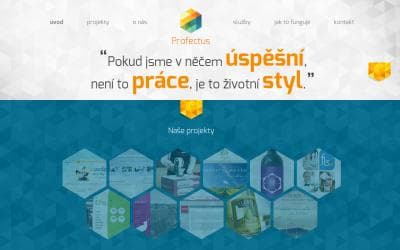 www.profectusconsulting.cz