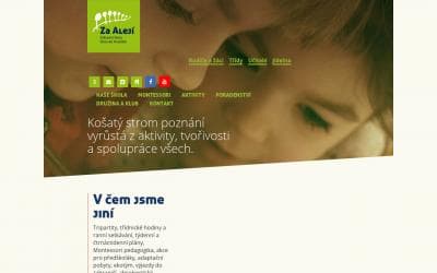 www.zszaaleji.cz
