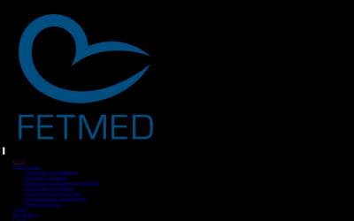 www.fetmed.cz