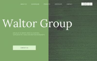 www.waltorgroup.com