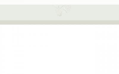 www.rakvice.cz