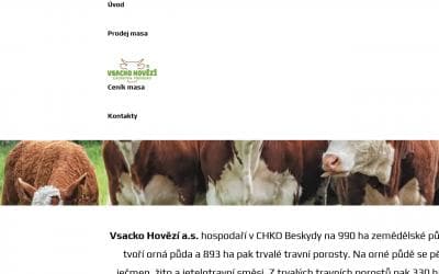 www.vsackohovezi.cz
